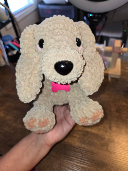Dachshund
